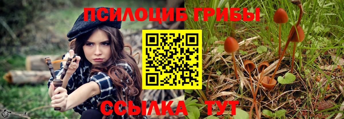 Галлюциногенные грибы прущие грибы Когалым