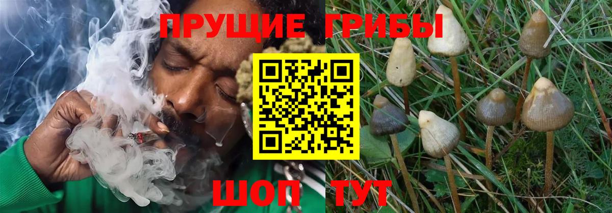 A PVP Когалым